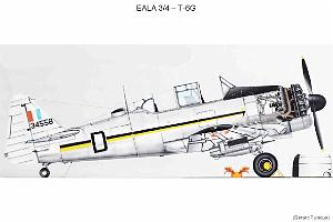 197- ARMEE DE L'AIR EN ALGERIE 1945-1962-45 (17)